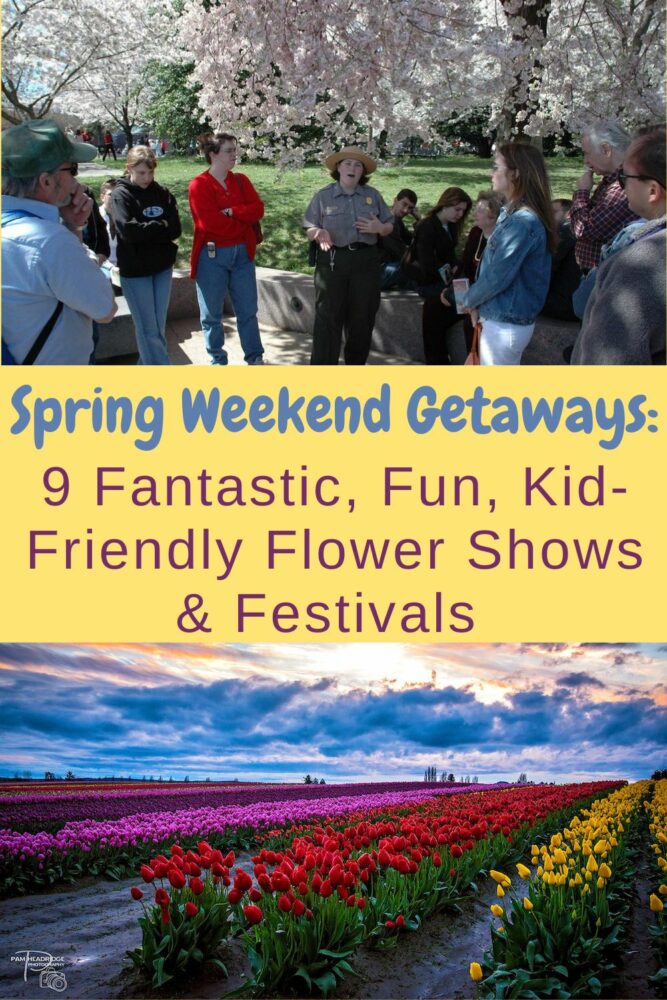 Flower shows and festivals are great ideas for a quick, easy nearby spring getaway witk kids. Here are some ideas and inspiration.