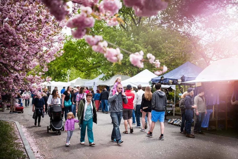 lilac festival rochester