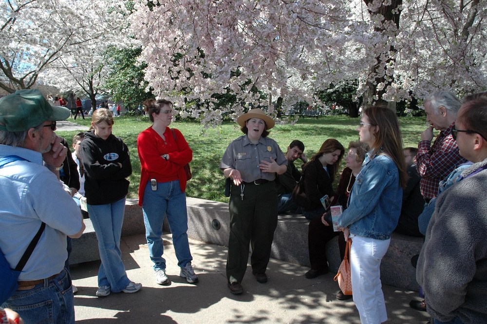 A national park ranger tells a group about washington d. C. 's cherry blossom trees, while standing under trees in full bloom.