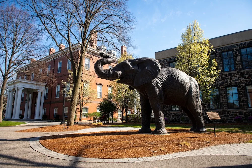 the giant jumbo elephant on the tufts campus is its mascot and part of its history.