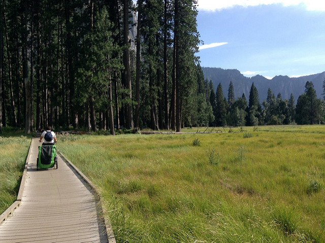 yosemite national park has wooden boardwalks that can accomodate all kinds of wheels, including this bicycle with a kids trailer attached.