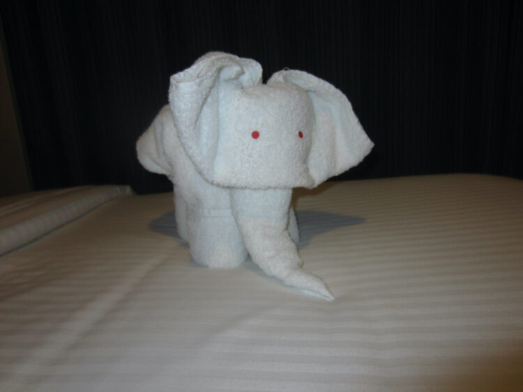 this elephant made from hand towels is one of the things ncl cruise ship workers do to amuse kids.