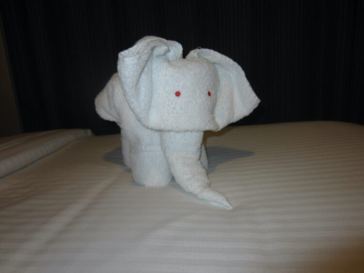This elephant made from hand towels is one of the things ncl cruise ship workers do to amuse kids.