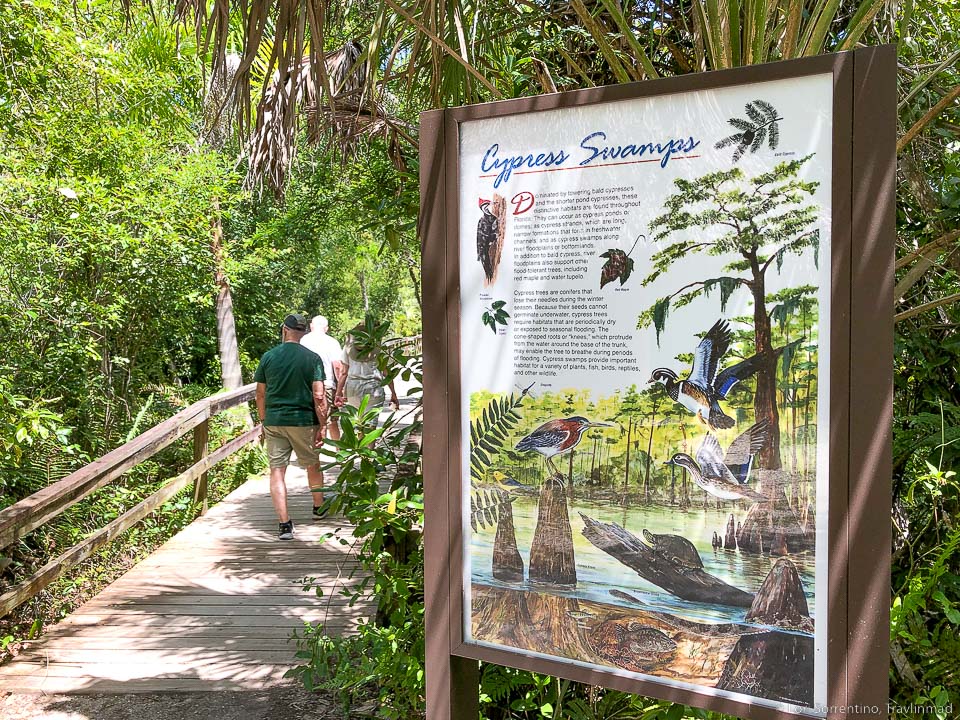 Older visitors to everglades natinal park walk along a wooden board walk.