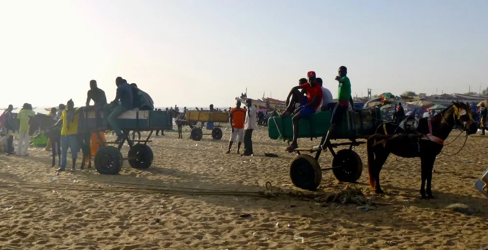 people hang out on the beach in donkey carts, waiting for fishing boats to return in the late afternoon in near saly, senegal. 