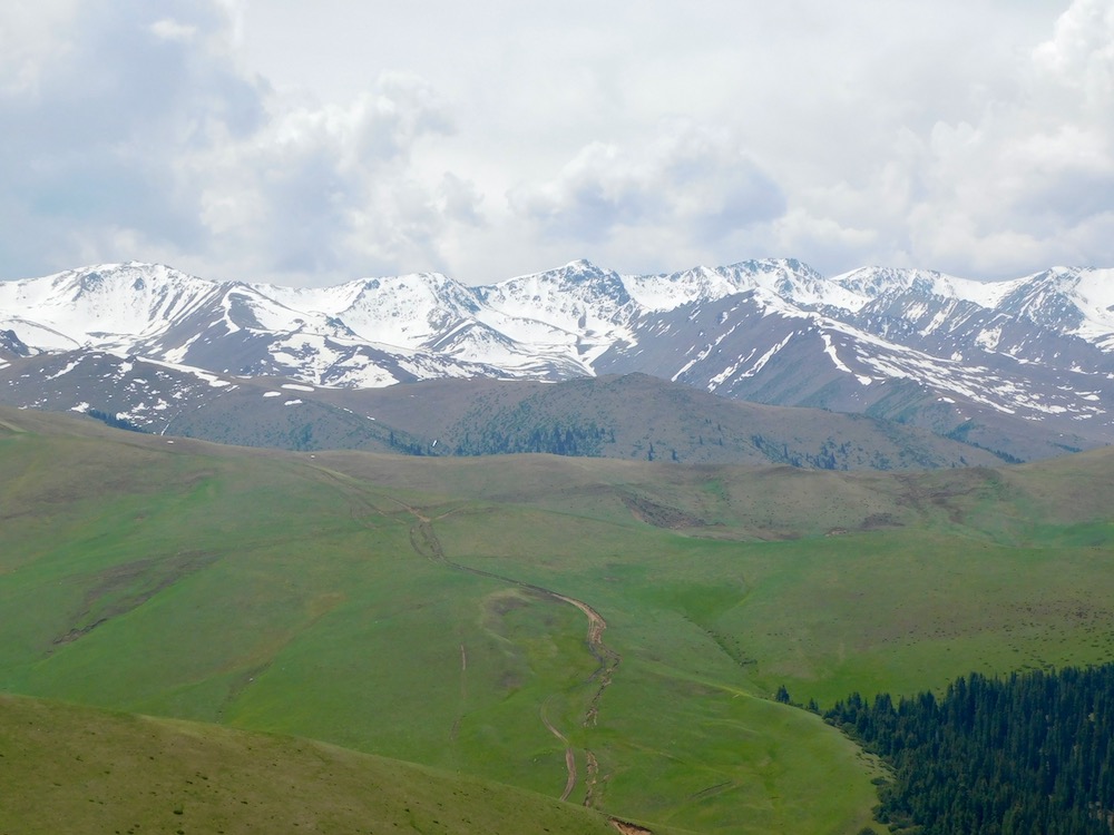 the assy plateau is gree and brown with snow-capped peaks in the distance/
