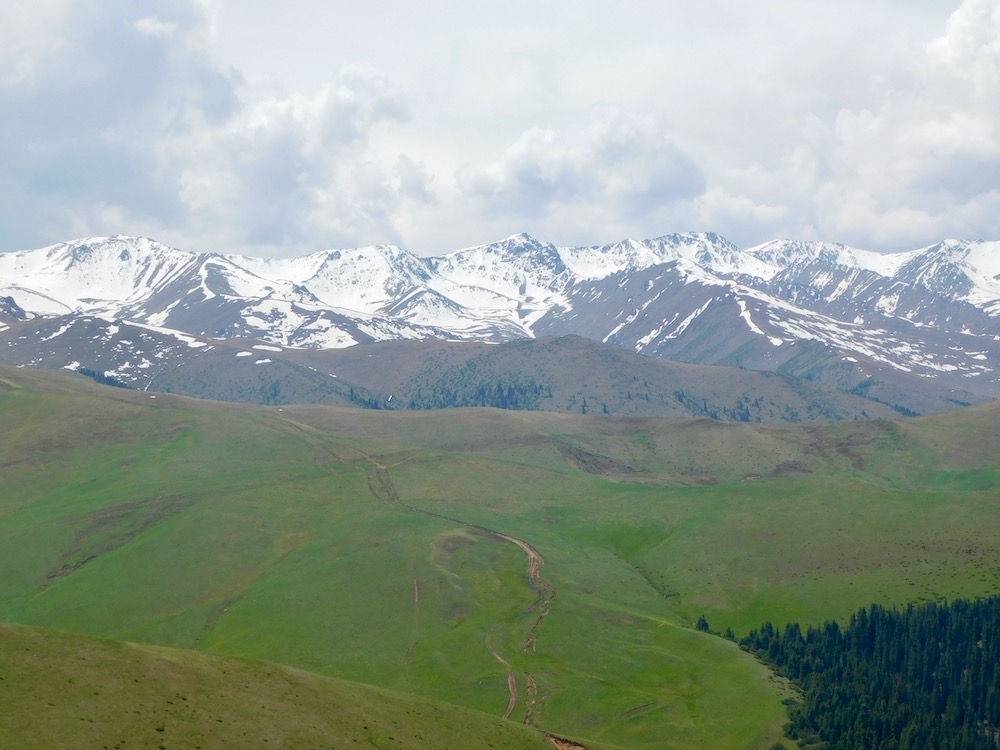 The assy plateau is gree and brown with snow-capped peaks in the distance/