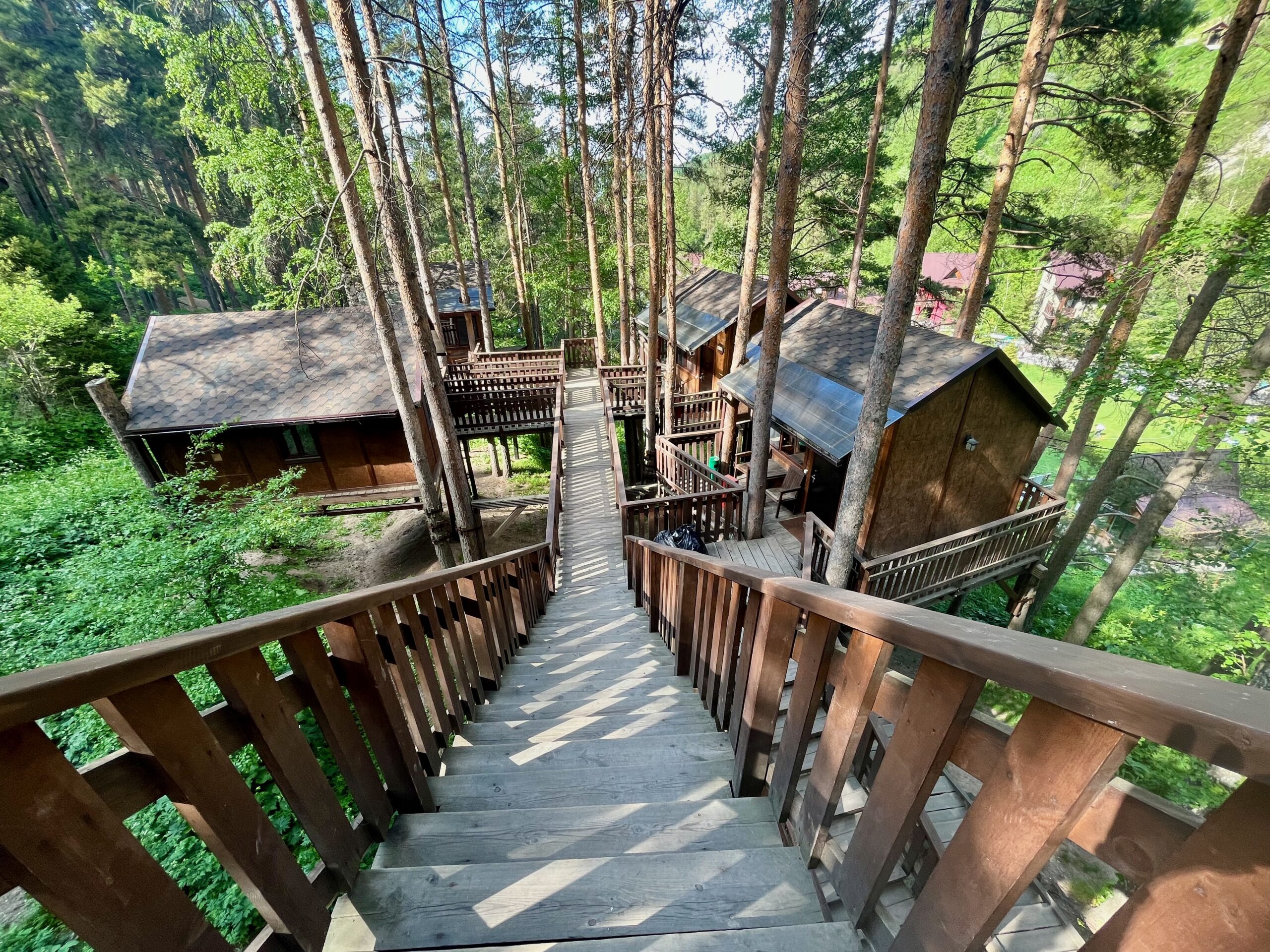 The tiny rustic tree-top cabins at the oi qaragai resort really are up among the tree tops, at the top of a lot of stairs.