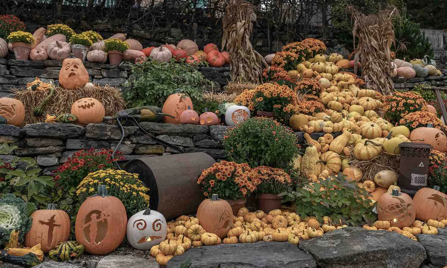 the naumkeag estate in the berkshires celebrates autumn by filling its gorgeous gardens with pumpkins and jack o'lanterns.