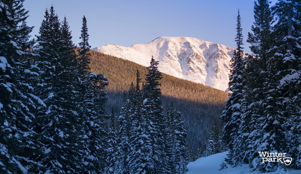the snowy peaks of winter park and snow-covered pine trees hugging a narrow trail.