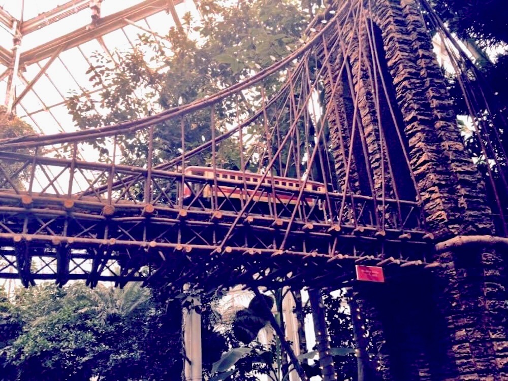 Nybg train show