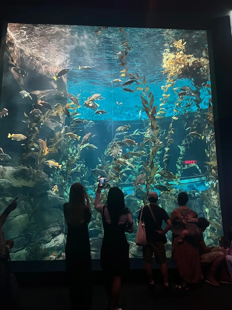 ripley's toronto aquarium can be a delight for adults, who can visit at night after the kids have gone home.