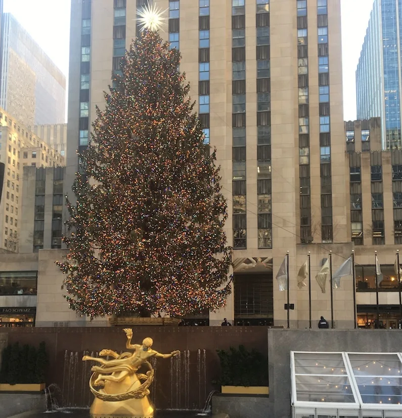 rockefeller center tree