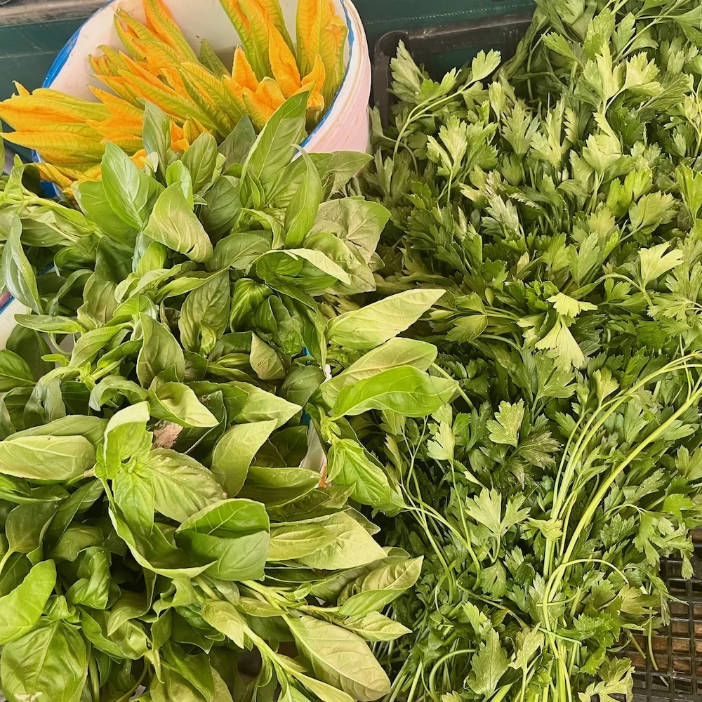bunches of green and yellow herbs at the rialto market in venice