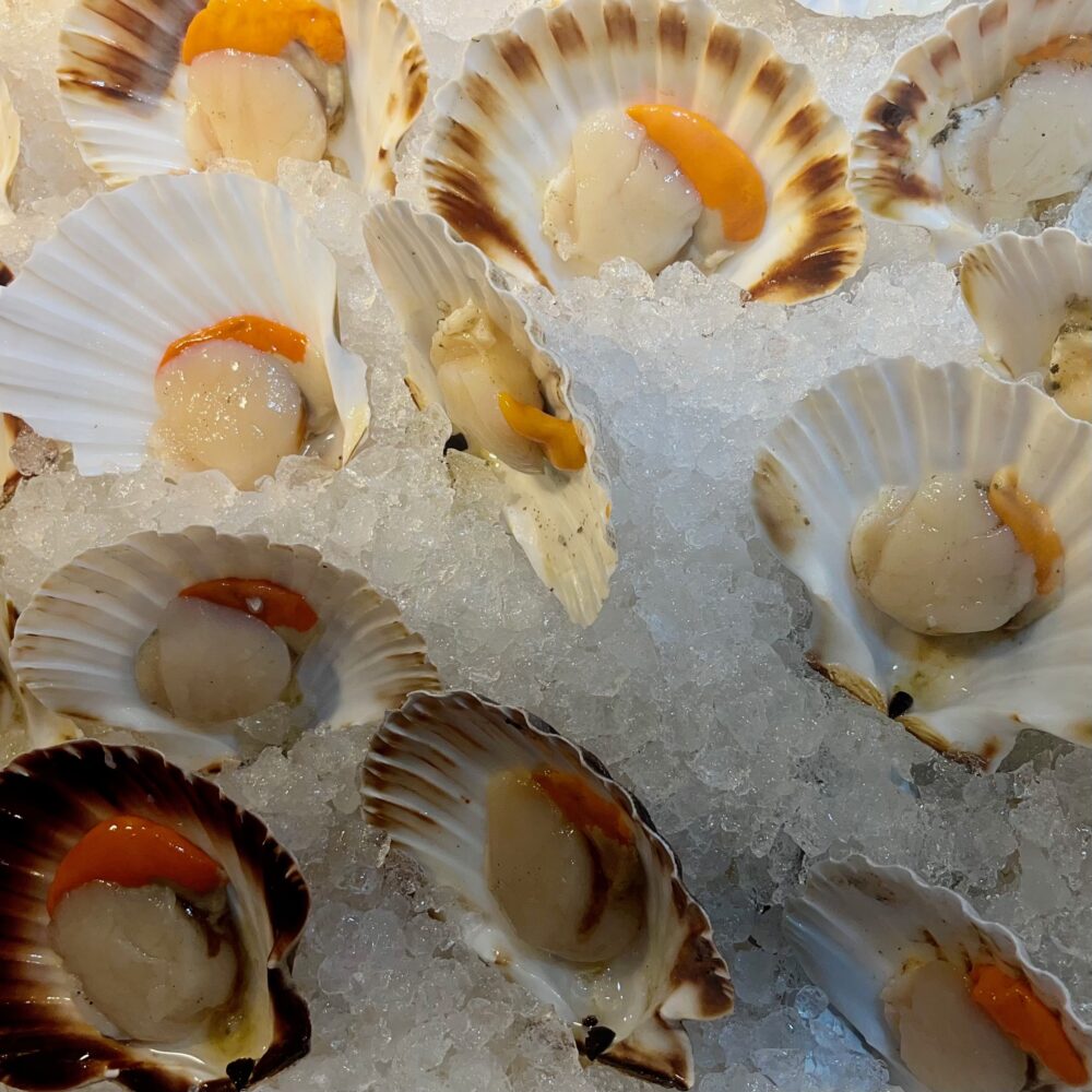 You can buy scallops in the shell, an unusual sight, at the rialto market.