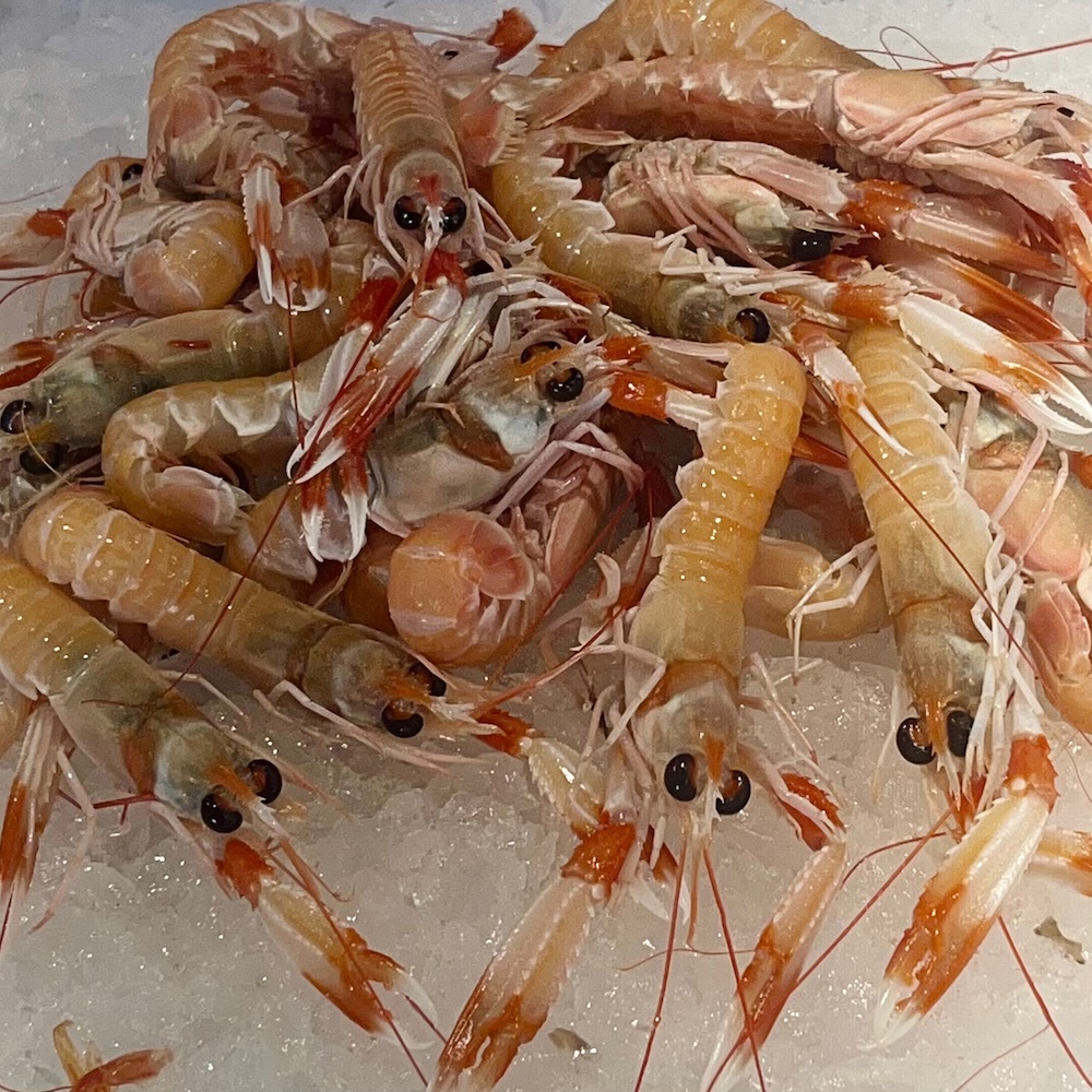 Rialto market shrimp
