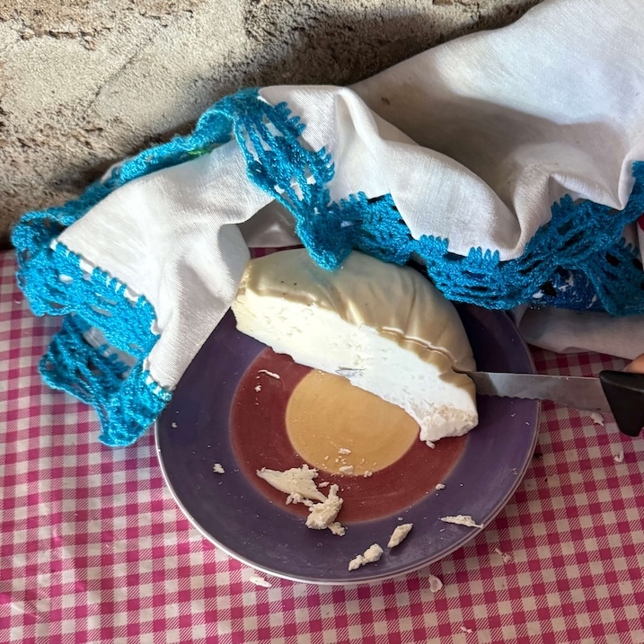 Fresh goat cheese is one of the local specialties you can try if you visit a traditional ranch with kids in baja sur california