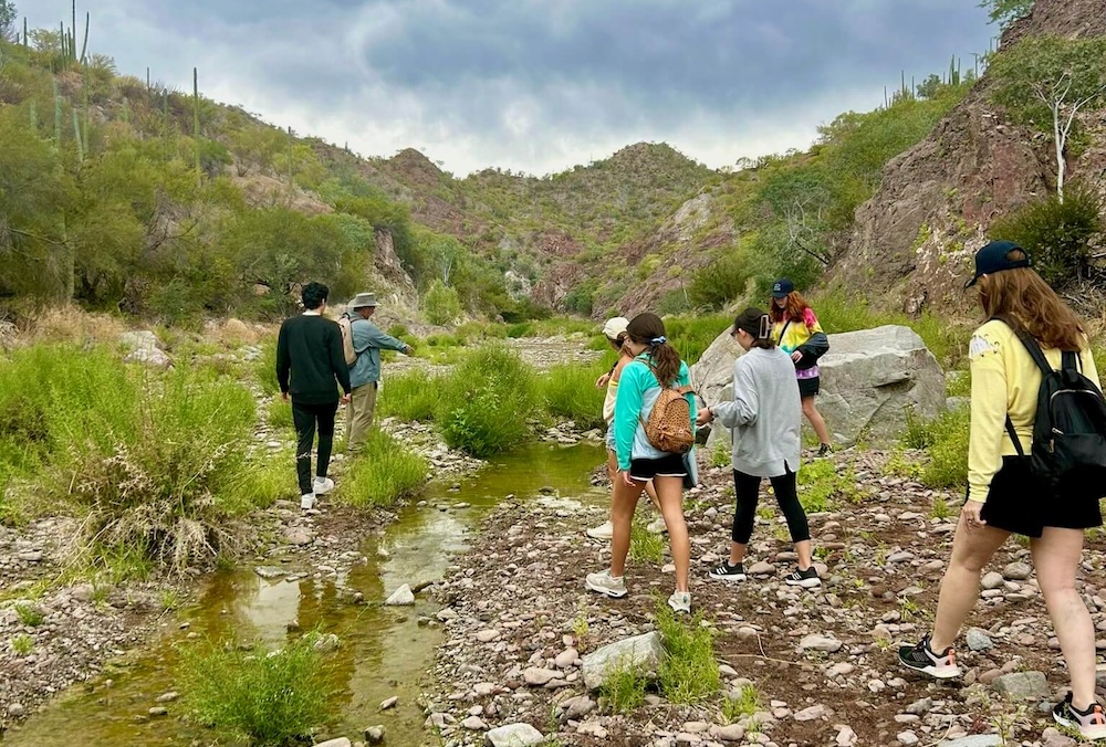 hiking in the foothills above loreto is a great thing to do with kids, especially if you have a guide to tell you about the local flora and fauna.