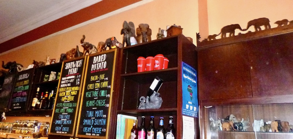 It's essential to take kids to eat at the elephant house in edinburgh because of its hundreds of elephants.